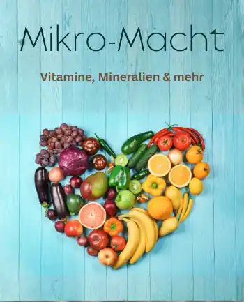 Mikro-Macht PLR ebook