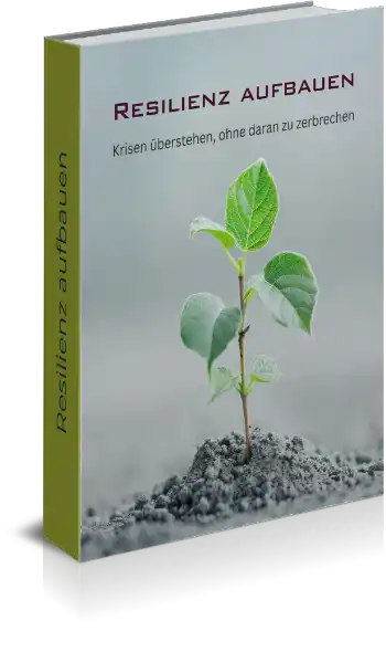 ebook cover 02