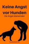 Keine Angst vor Hunden