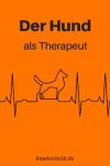 Hund Therapeut