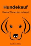 Hundekauf