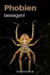 Phobien besiegen